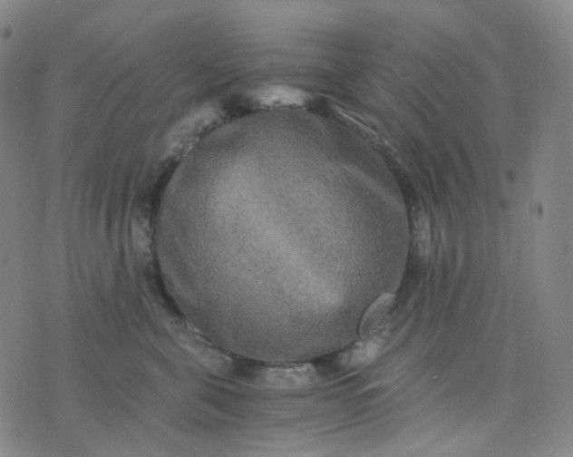 X0000076450571200610202338