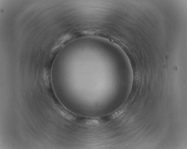 X0000076450572200610202338