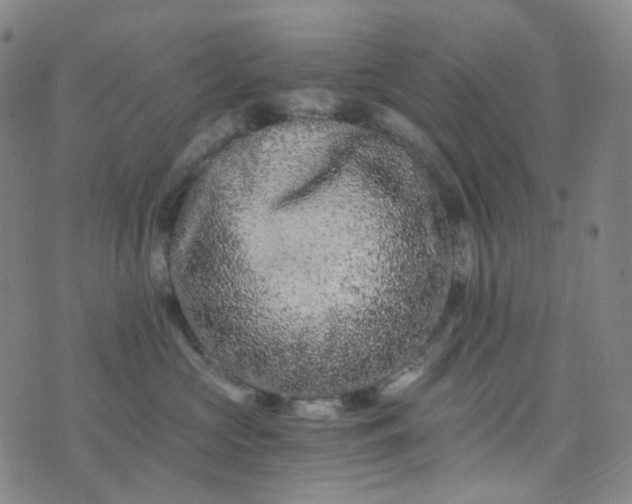 X0000076450573200610202338