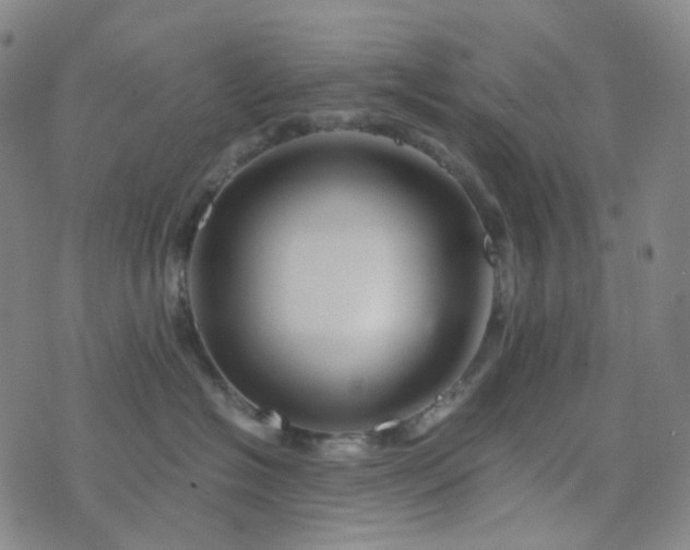 X0000076450574200610202338