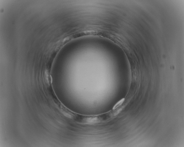 X0000076450575200610202338