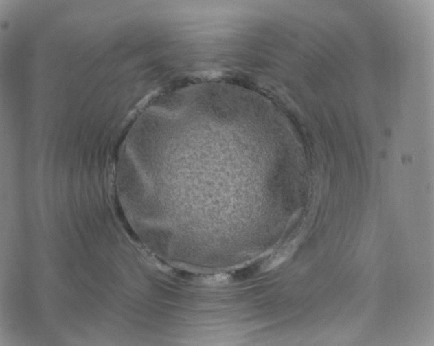 X0000076450576200610202338