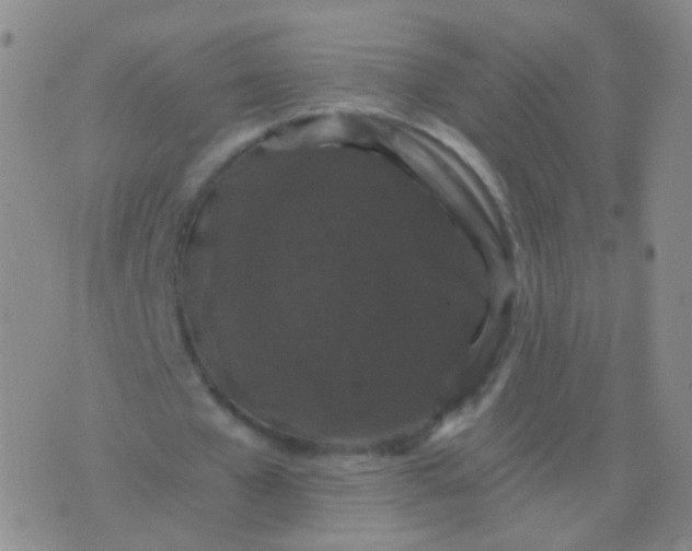 X0000076450577200610202337