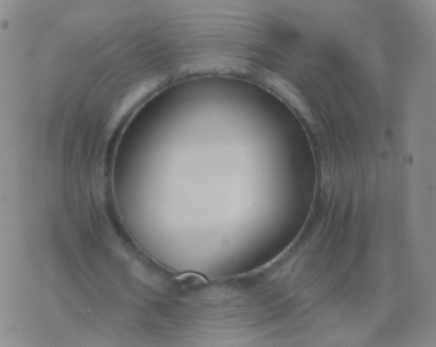 X0000076450578200610202337