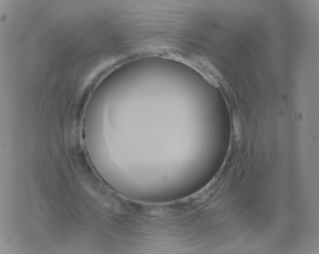 X0000076450579200610202337