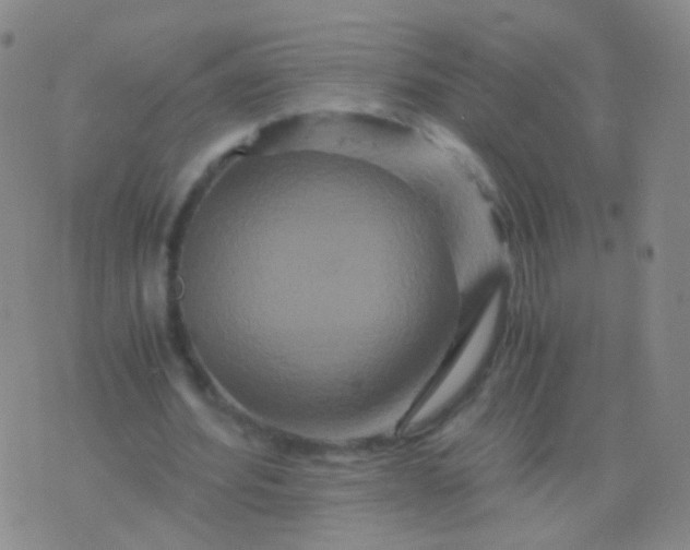 X0000076450580200610202337