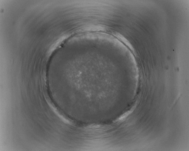 X0000076450581200610202337