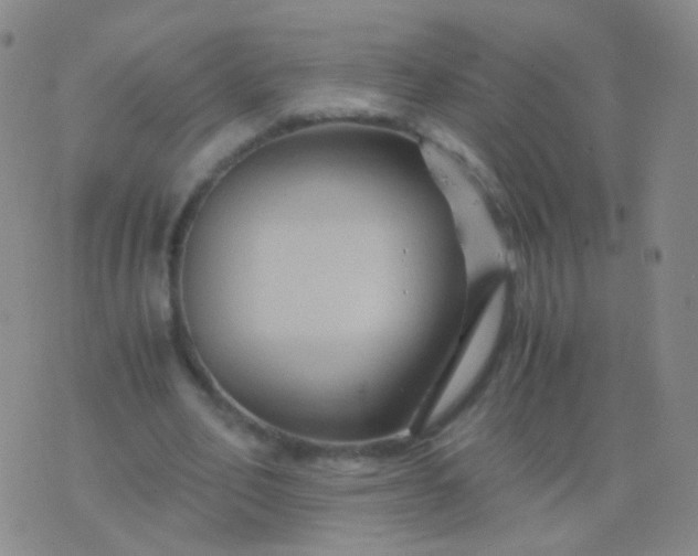 X0000076450582200610202337