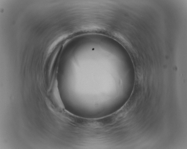 X0000076450583200610202337