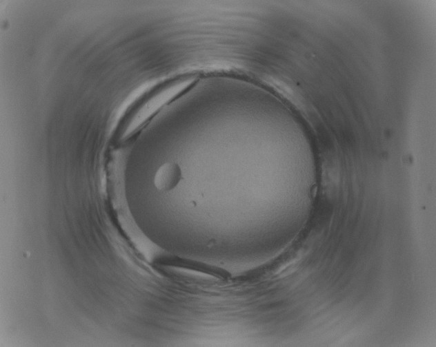 X0000076450584200610202337