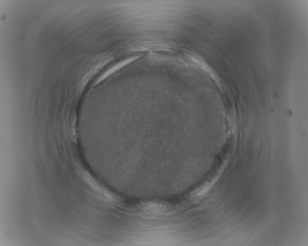 X0000076450585200610202337