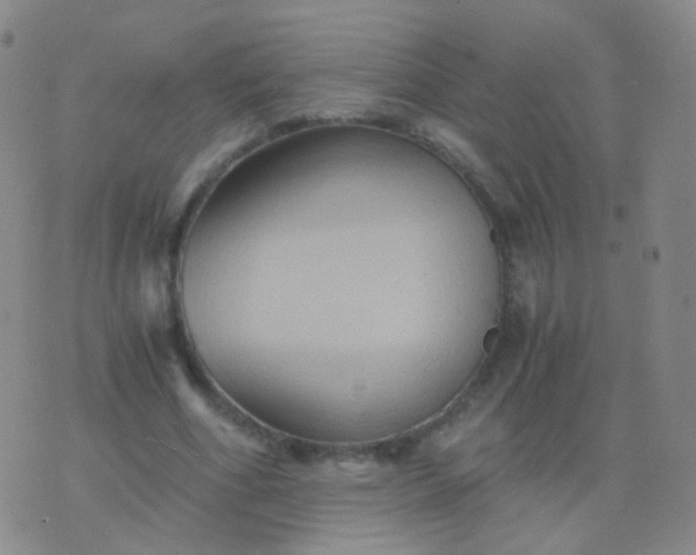 X0000076450586200610202337