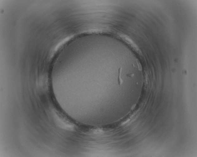 X0000076450588200610202337