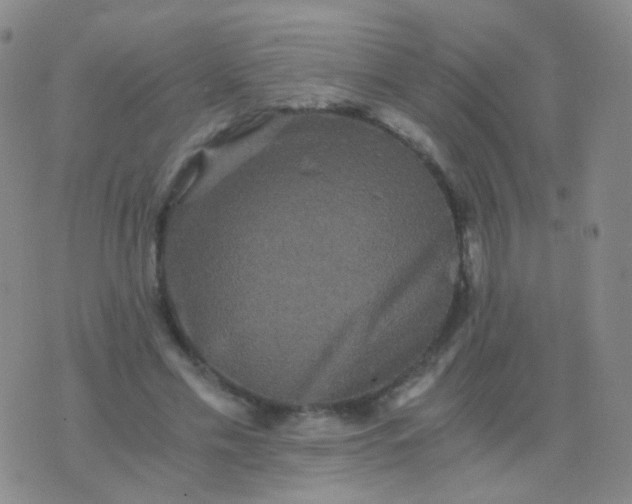 X0000076450589200610202337