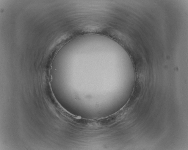 X0000076450591200610202337