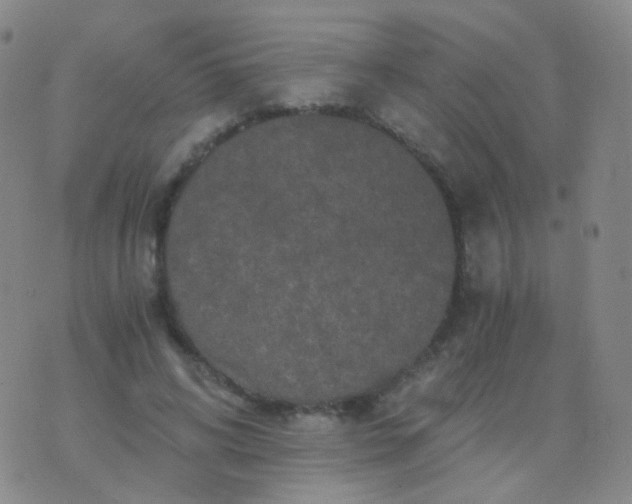 X0000076450592200610202337