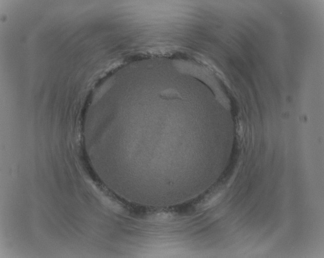 X0000076450593200610202337