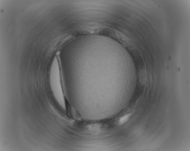 X0000076450594200610202337