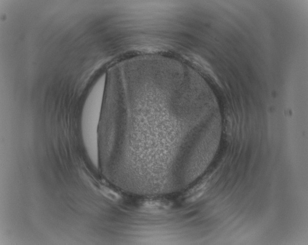 X0000076450596200610202337