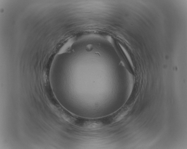 X0000076450597200610202337