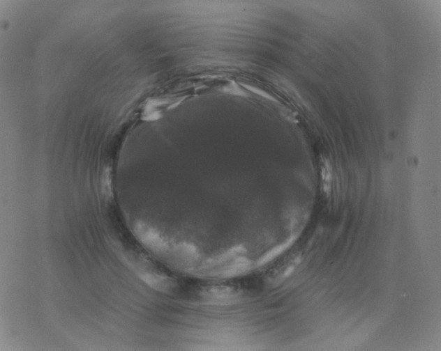 X0000076450598200610202337