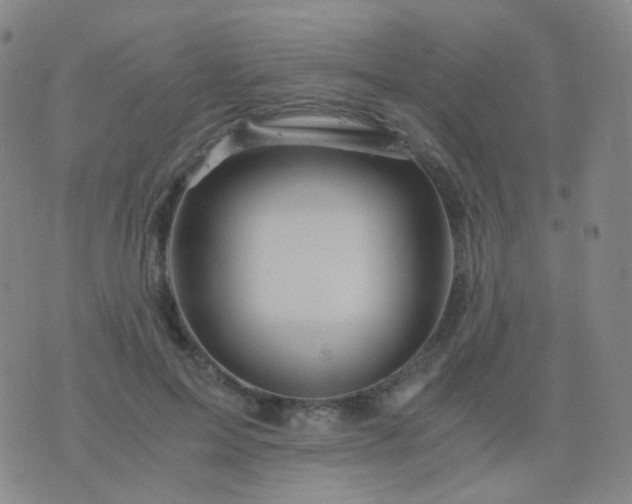 X0000076450599200610202337