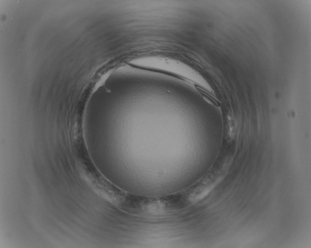 X0000076450600200610202337