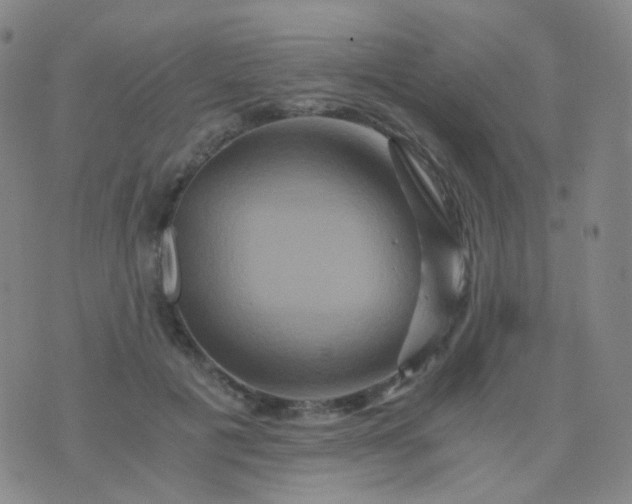 X0000076450601200610202337