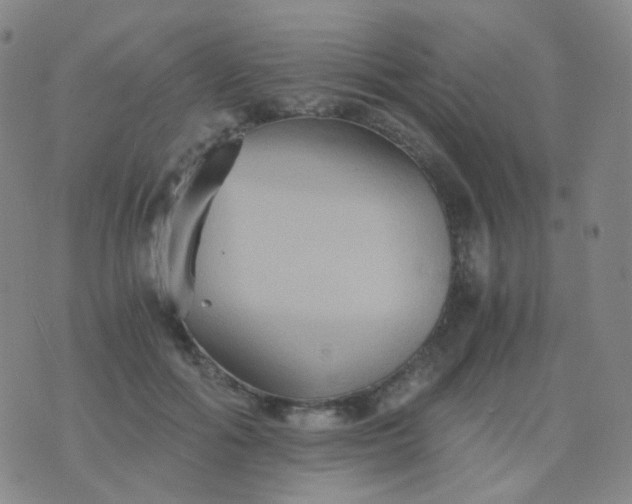 X0000076450602200610202336