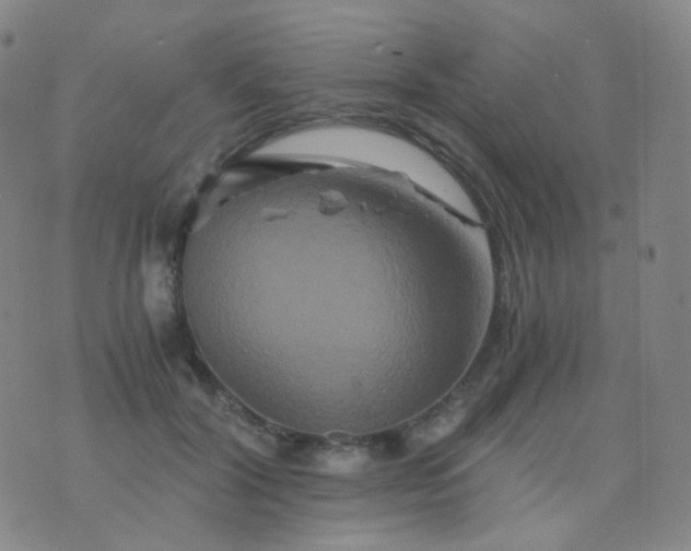 X0000076450604200610202336