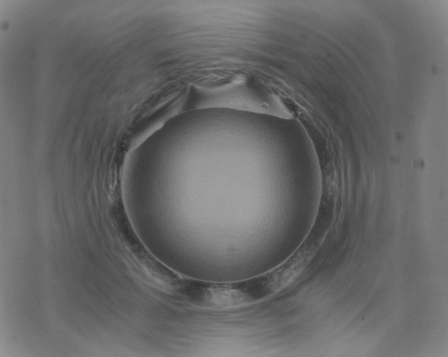 X0000076450605200610202336