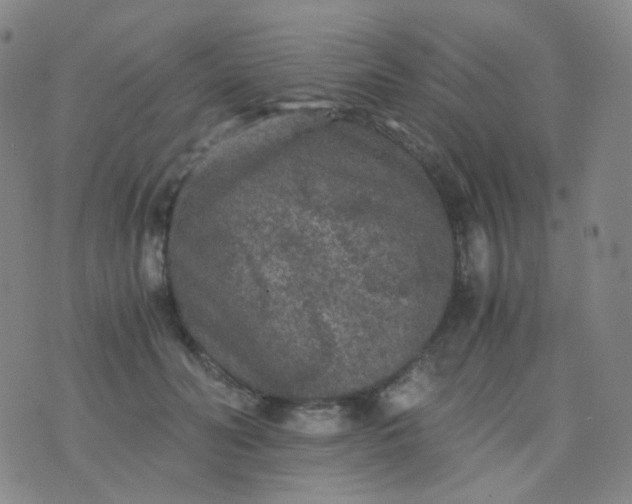 X0000076450606200610202336