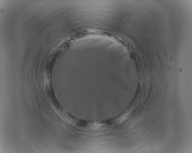 X0000076450607200610202336