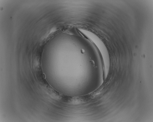 X0000076450608200610202336