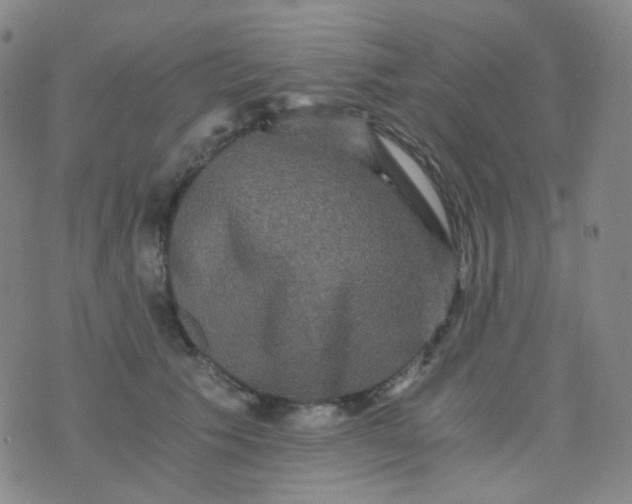 X0000076450609200610202336