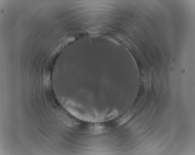 X0000076450610200610202336