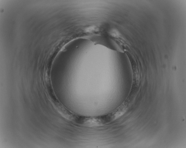 X0000076450611200610202336