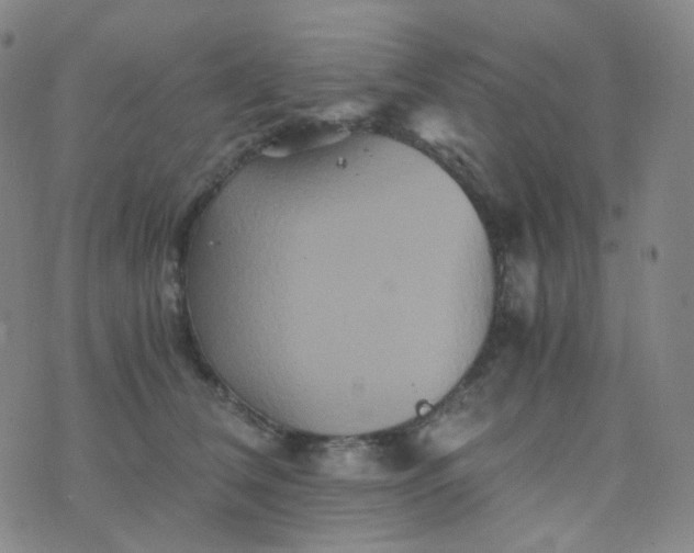 X0000076450612200610202336