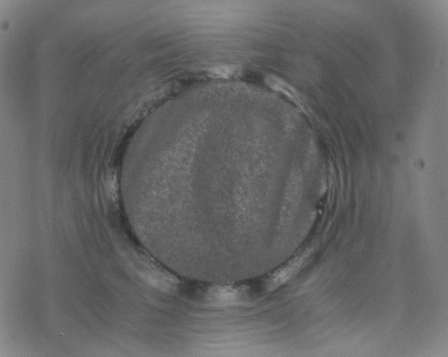 X0000076450613200610202336