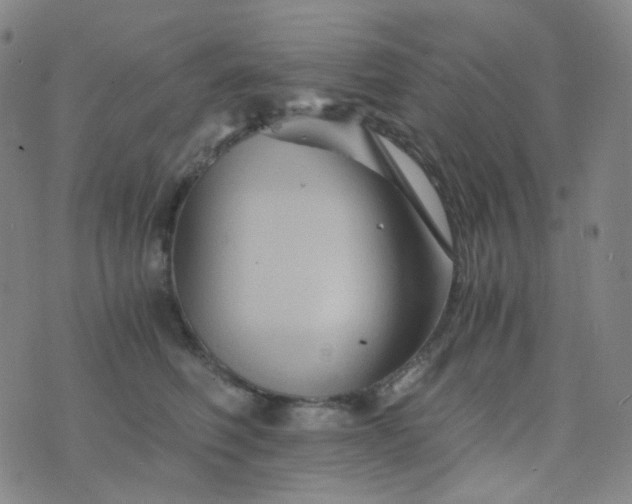 X0000076450614200610202336