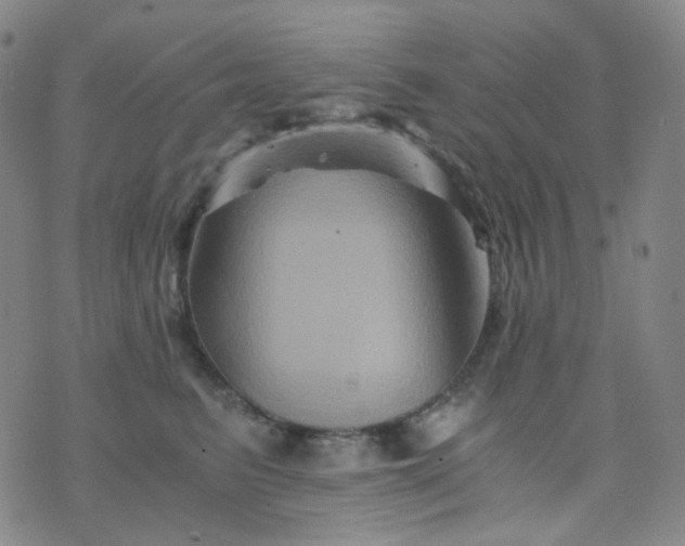 X0000076450615200610202336