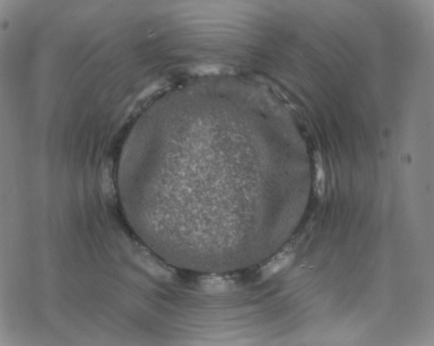 X0000076450616200610202336