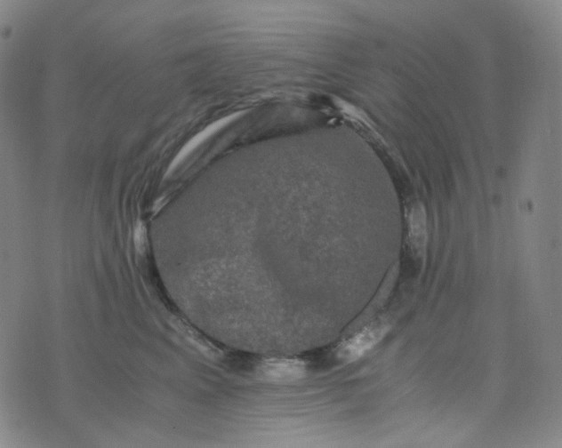 X0000076450617200610202336