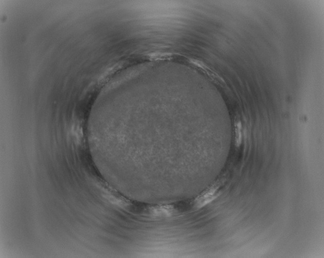 X0000076450618200610202336