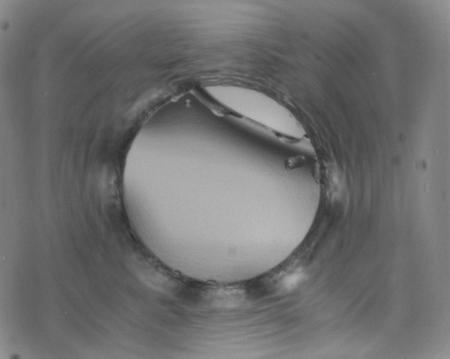 X0000076450619200610202336