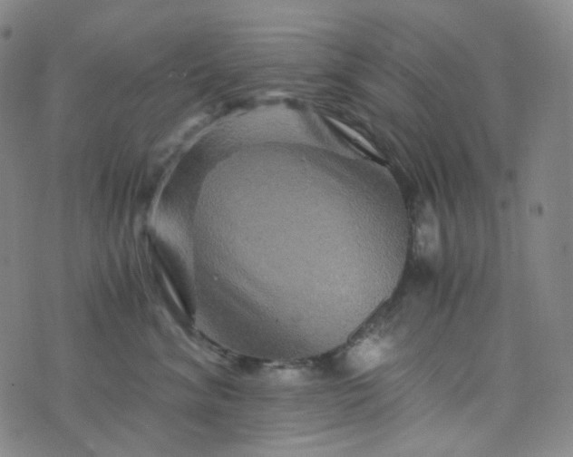 X0000076450620200610202336