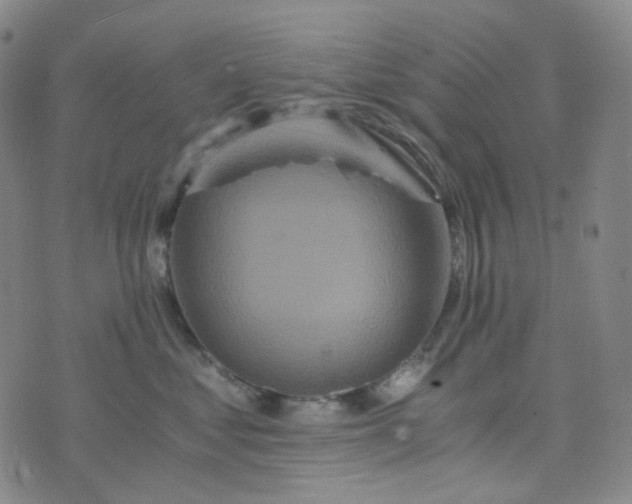 X0000076450621200610202336