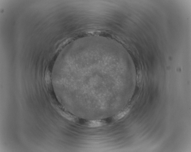 X0000076450623200610202336