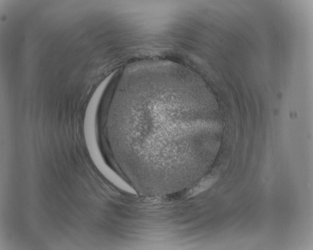 X0000076450624200610202336