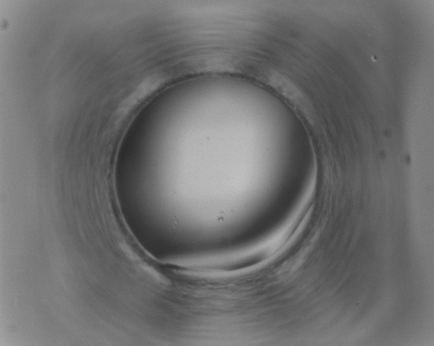 X0000076450625200610202335